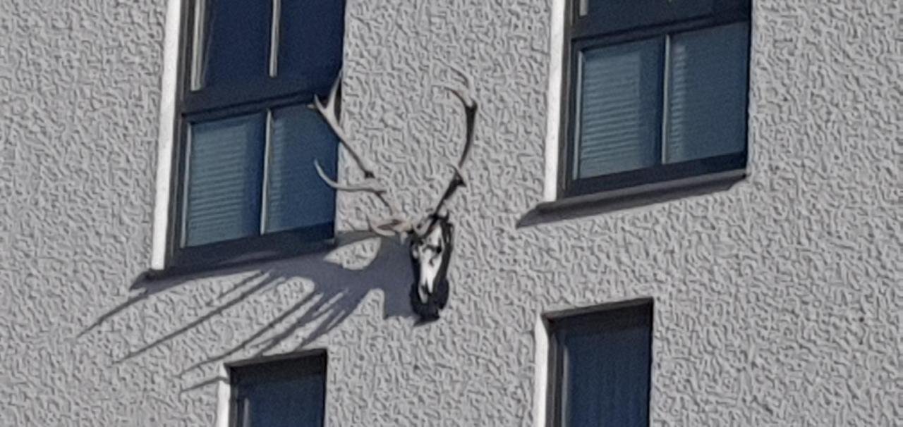 Hotel Bigger Hof - Wirtshaus Platzhirsch Am Jahnplatz Olsberg